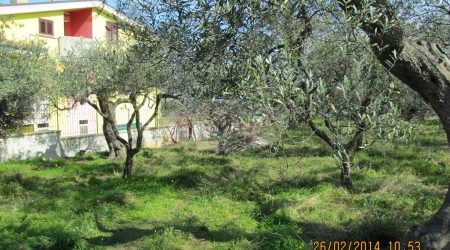 T/VED54 LOTTO DI TERRENO EDIFICALE x REALIZZARE LA TUA CASA