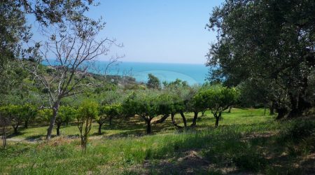 T/VAG44   A VASTO (CH) VENDESI TERRENO AGRICOLO PANORAMICISSIMO IMMEDIATA PERIFERIA DI MQ 10.000