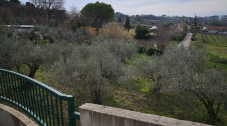 T/VAG43 TERRENO AGRICOLO, PIANEGGIANTE, A VASTO VILLA DE NARDIS