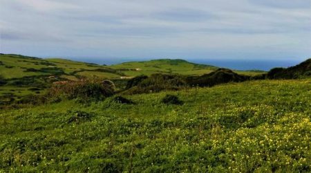 T/VED75  A VASTO (CH)  ZONA SANT’ANTONIO VENDESI LOTTO DI TERRENO x EDIFICARE  UNA O  PIU’ VILLETTE