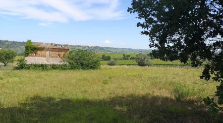 R/FV99 A POLLUTRI (CH) VENDESI  A CIRCA 1 KM DAL CASELLO A/14 VASTO NORD CASOLARE+TERRENO