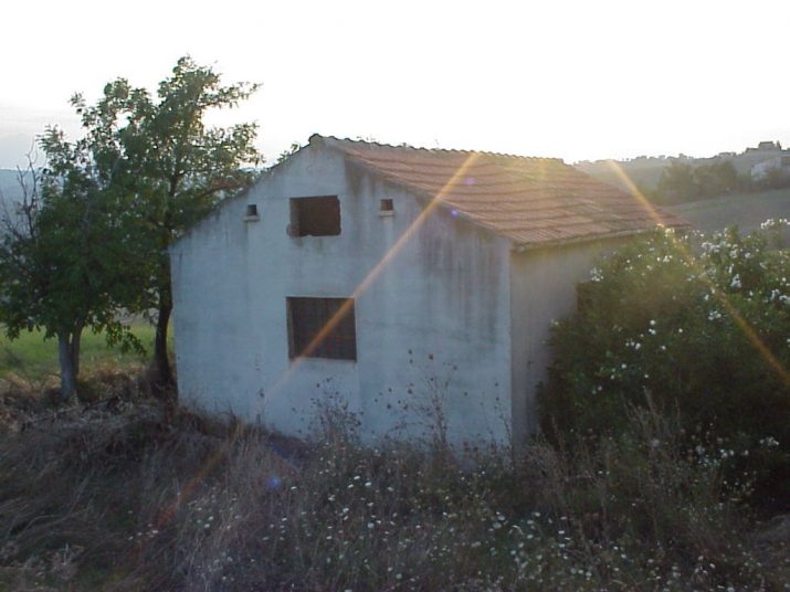 MVC-009X