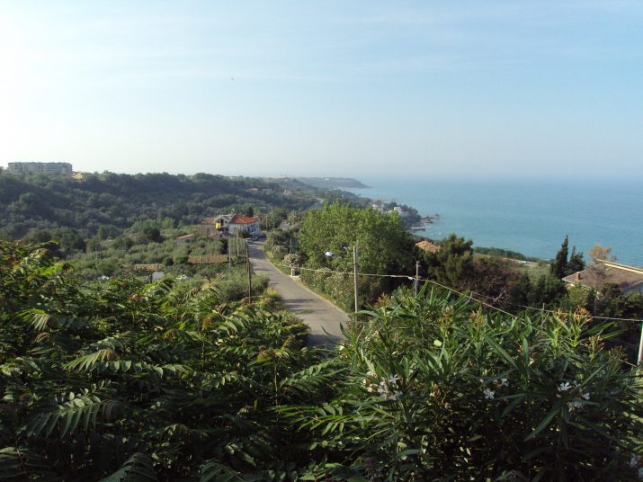 DSC06140
