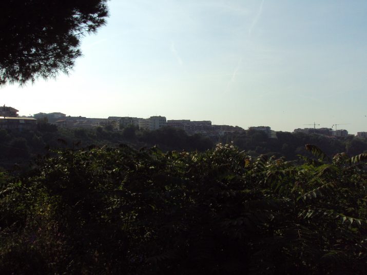 DSC06142