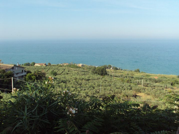 DSC06144