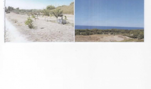 RIF: R/FV107 A PETACCIATO (CB) VENDESI  FABBRICATO GREZZO+TERRENO AD ULIVETO+FRUTTETO-PANORAMICO