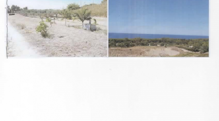 RIF: R/FV107 A PETACCIATO (CB) VENDESI  FABBRICATO GREZZO+TERRENO AD ULIVETO+FRUTTETO-PANORAMICO