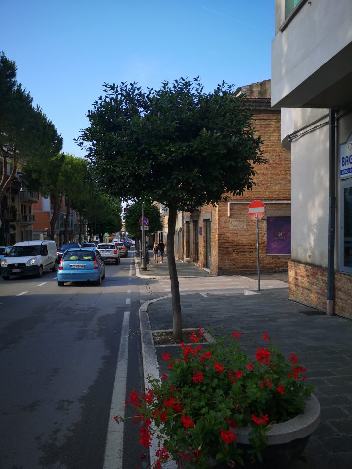 IMG_20230615_174533