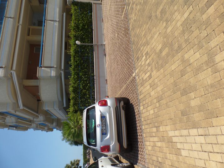 SAM_0113