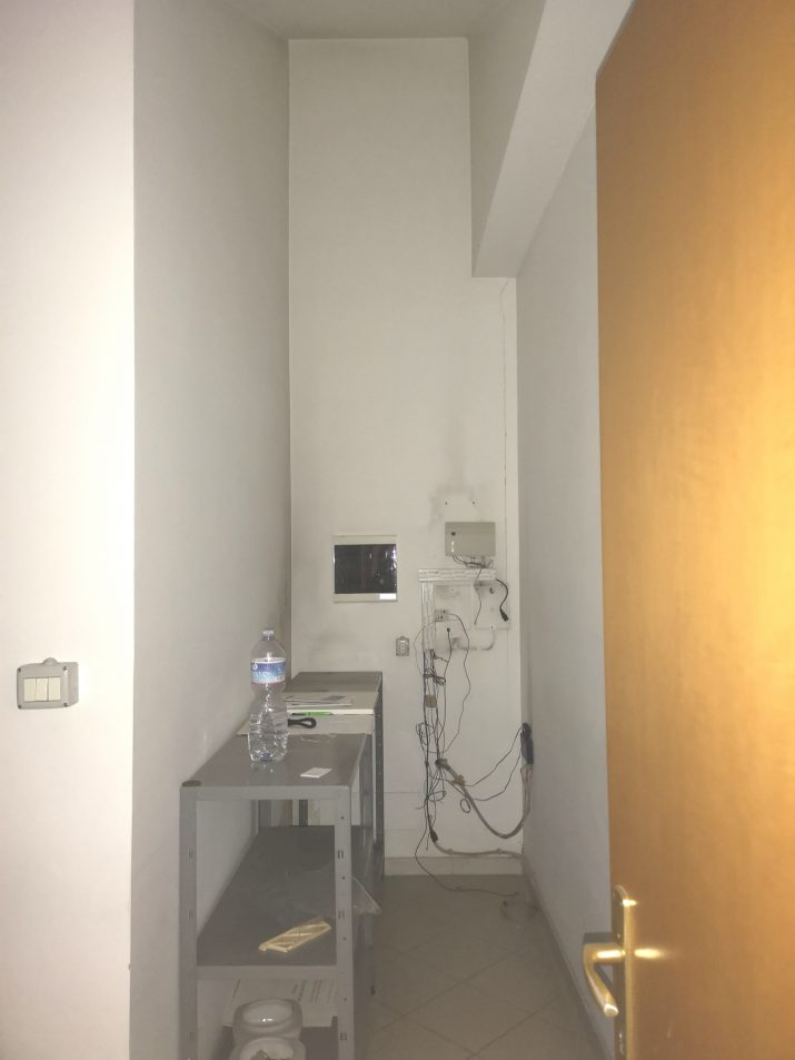 IMG_20250318_104622_edit_345227355303050