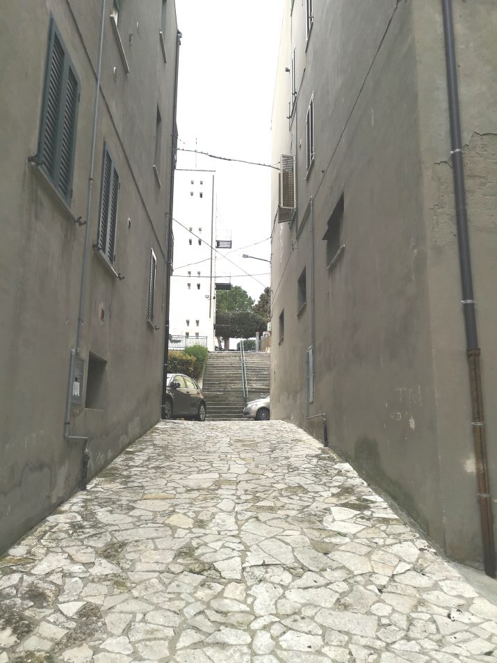 IMG_20250318_104739_edit_345179406996807