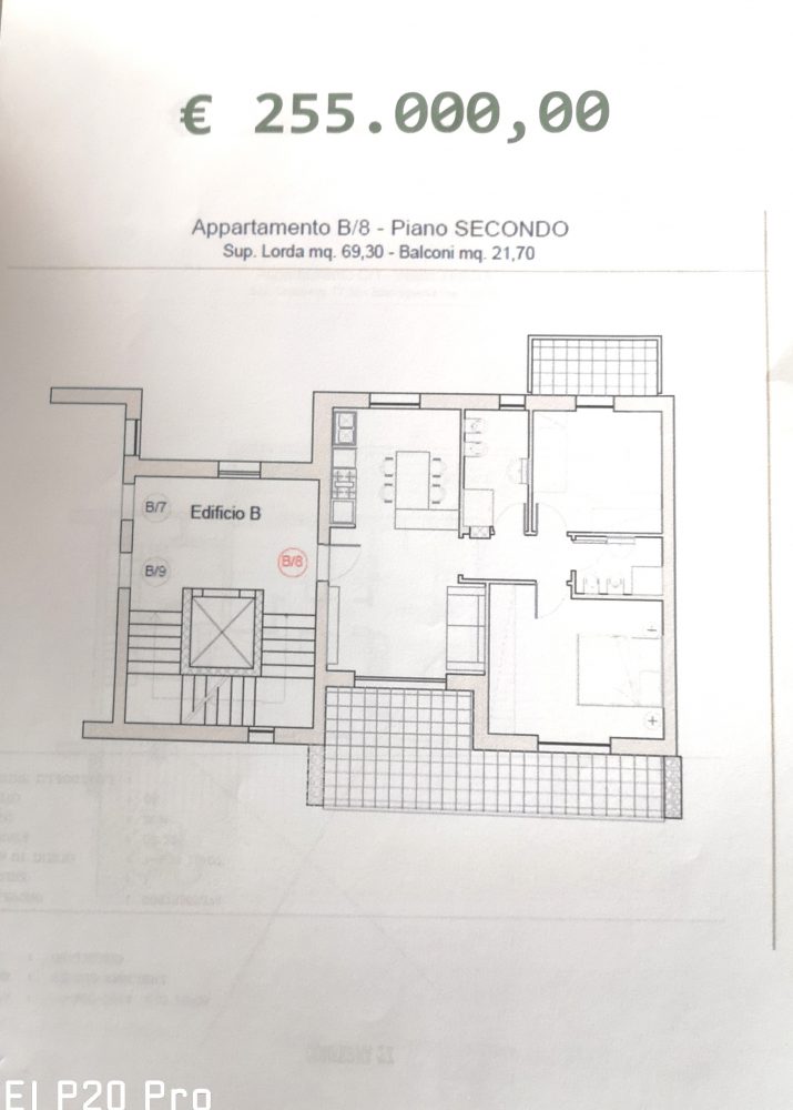 IMG_20260221_114114_edit_173025559801721