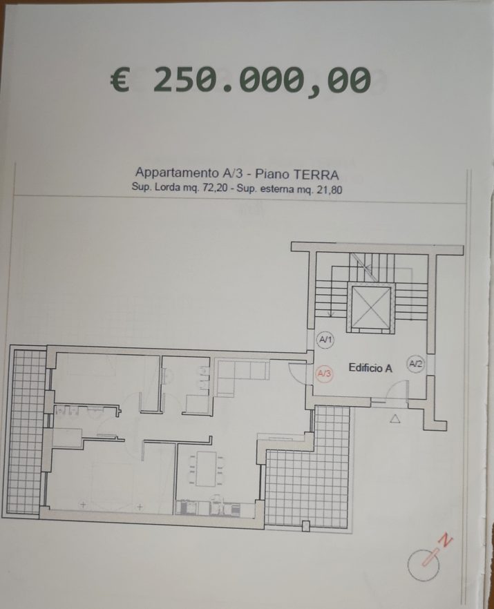 IMG_20260221_114153_edit_172940396116839