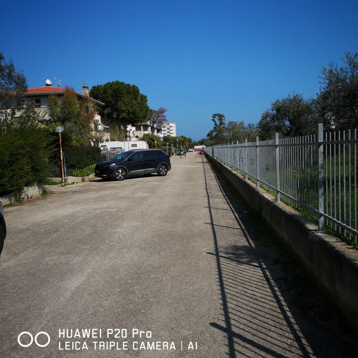 IMG_20260313_120156