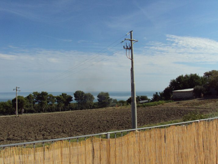 DSC01547