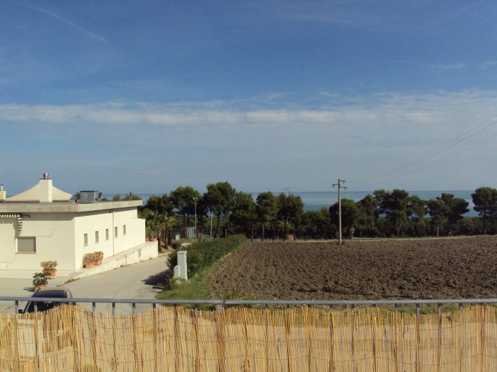 DSC01548