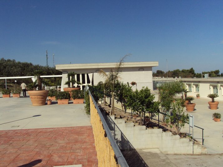 DSC01550