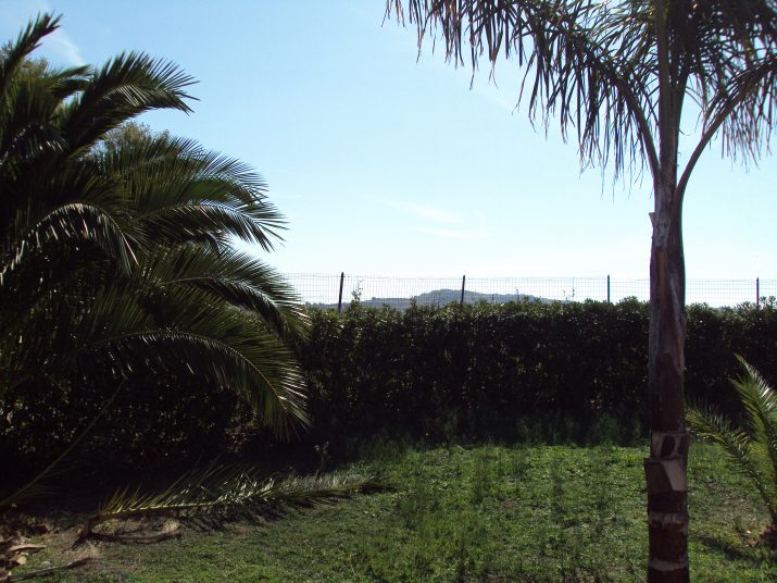 DSC01556