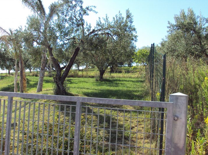 DSC01566