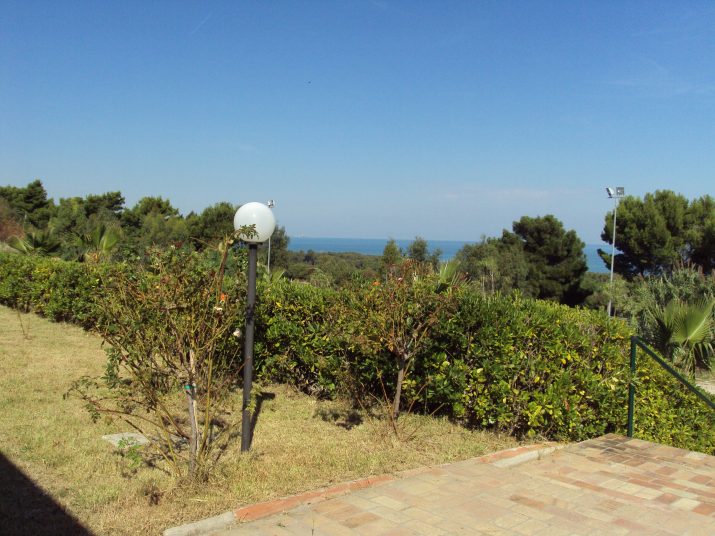 DSC01618
