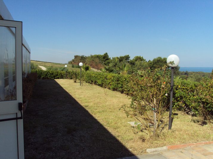 DSC01619