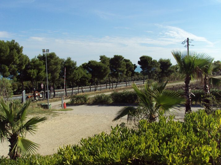 DSC01624