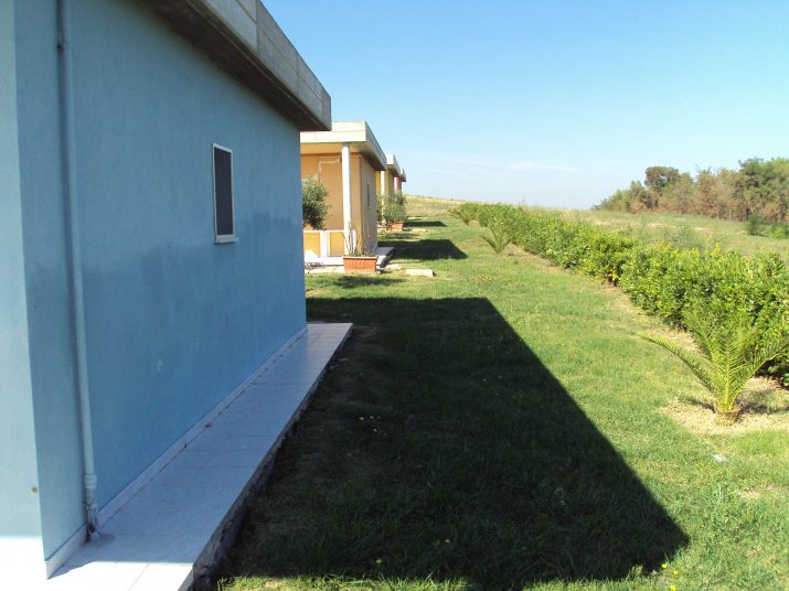 DSC01639