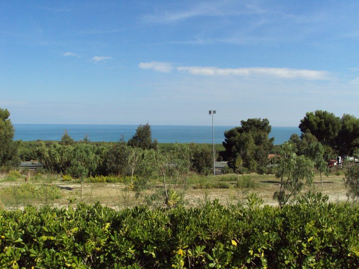 DSC01641