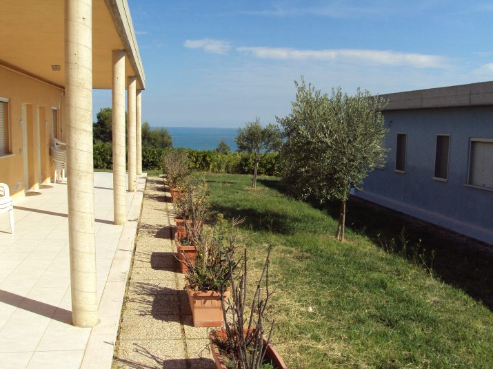 DSC01646