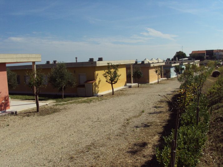 DSC01651