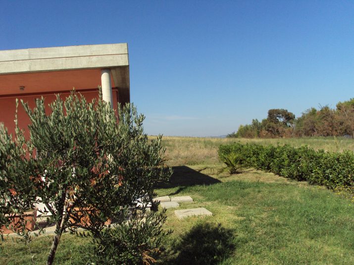 DSC01654