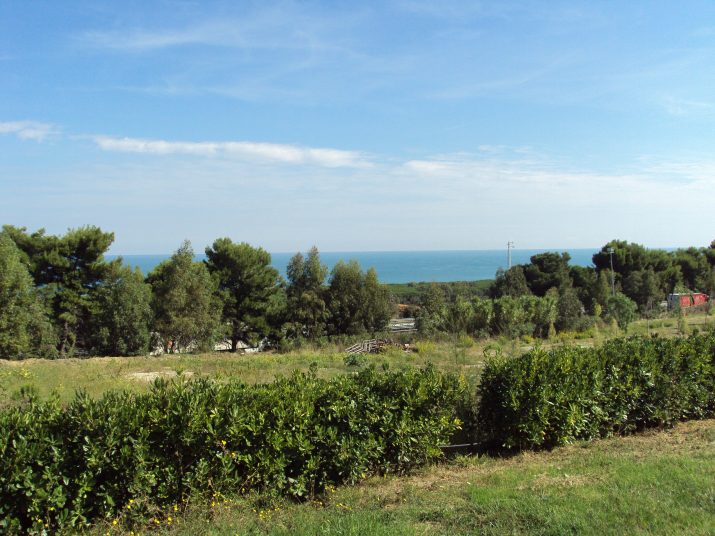 DSC01656