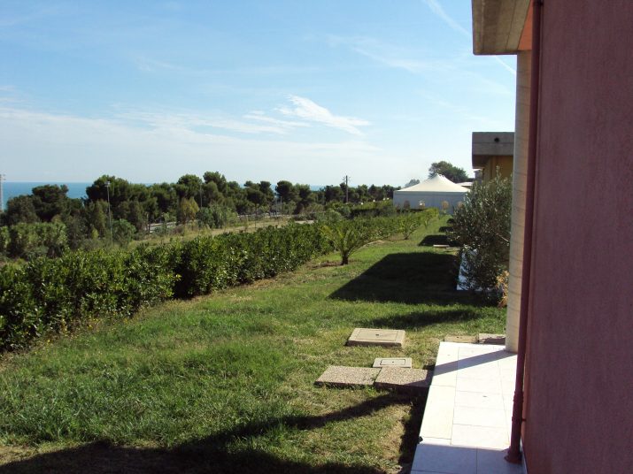 DSC01658