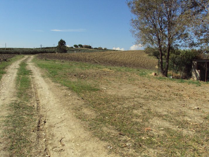 DSC01679
