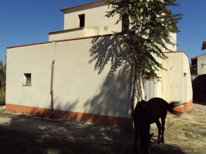 DSC01680
