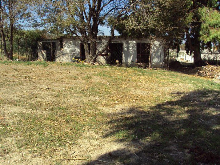 DSC01682