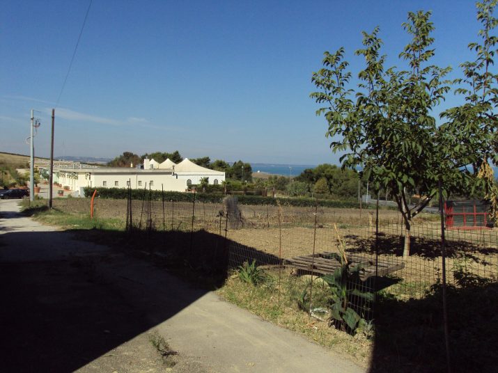 DSC01685
