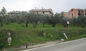 RIF: T/FVED12 A CUPELLO (CH) CONFINANTE CON STATALE 86, NELLA IMMEDIATA PERIFERIA DEL PAESE VENDE TERRENO EDIFICABILE