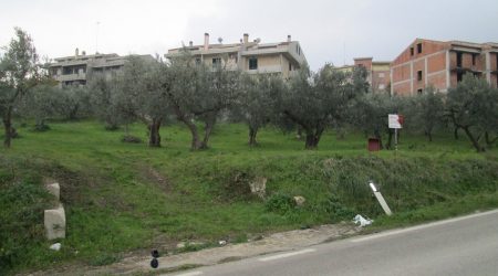 RIF: T/FVED12 A CUPELLO (CH) CONFINANTE CON STATALE 86, NELLA IMMEDIATA PERIFERIA DEL PAESE VENDE TERRENO EDIFICABILE